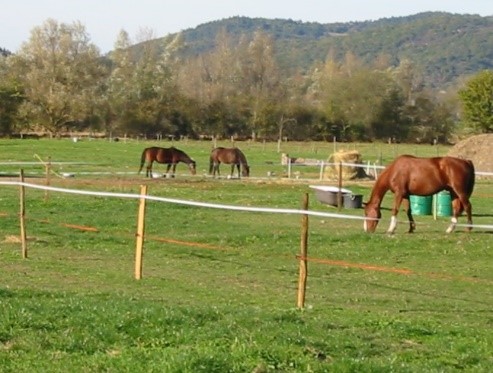 Centre équitation 43