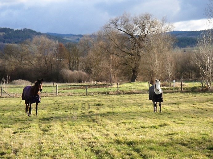 Centre équitation 43