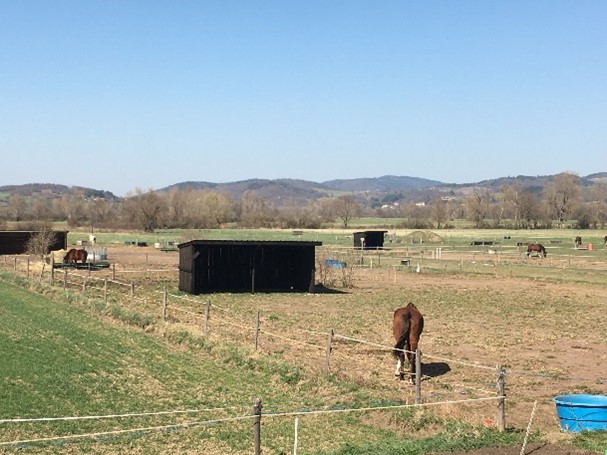 Centre équitation 43